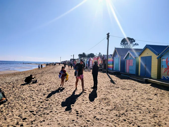 Moonlit Sanctuary and Brighton Beach Tour | Experience Oz