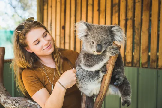 Moonlit Sanctuary and Brighton Beach Tour - Half Day