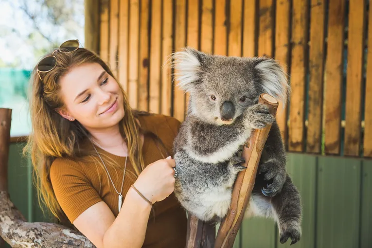 Moonlit Sanctuary and Brighton Beach Tour | Experience Oz