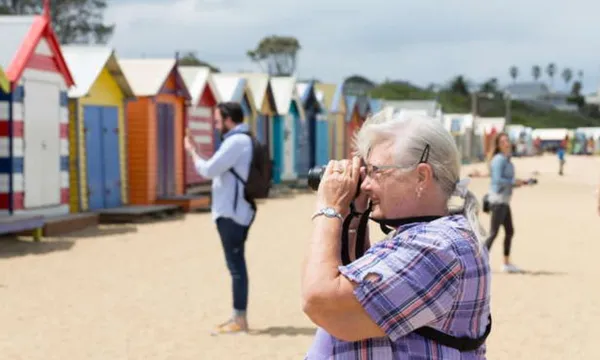 Moonlit Sanctuary and Brighton Beach Tour - Half Day