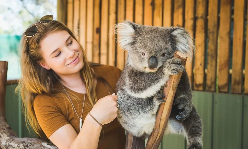 Moonlit Sanctuary and Brighton Beach Tour | Experience Oz