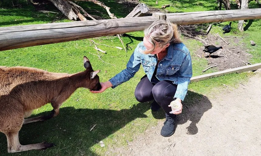 Moonlit Sanctuary and Brighton Beach Tour | Experience Oz