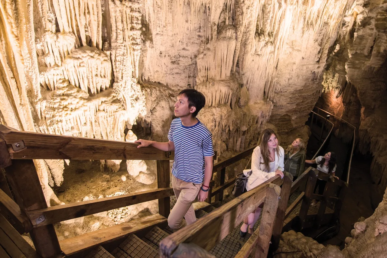Waitomo Aranui Cave Guided Tour - 1 Hour | Everything New Zealand-4