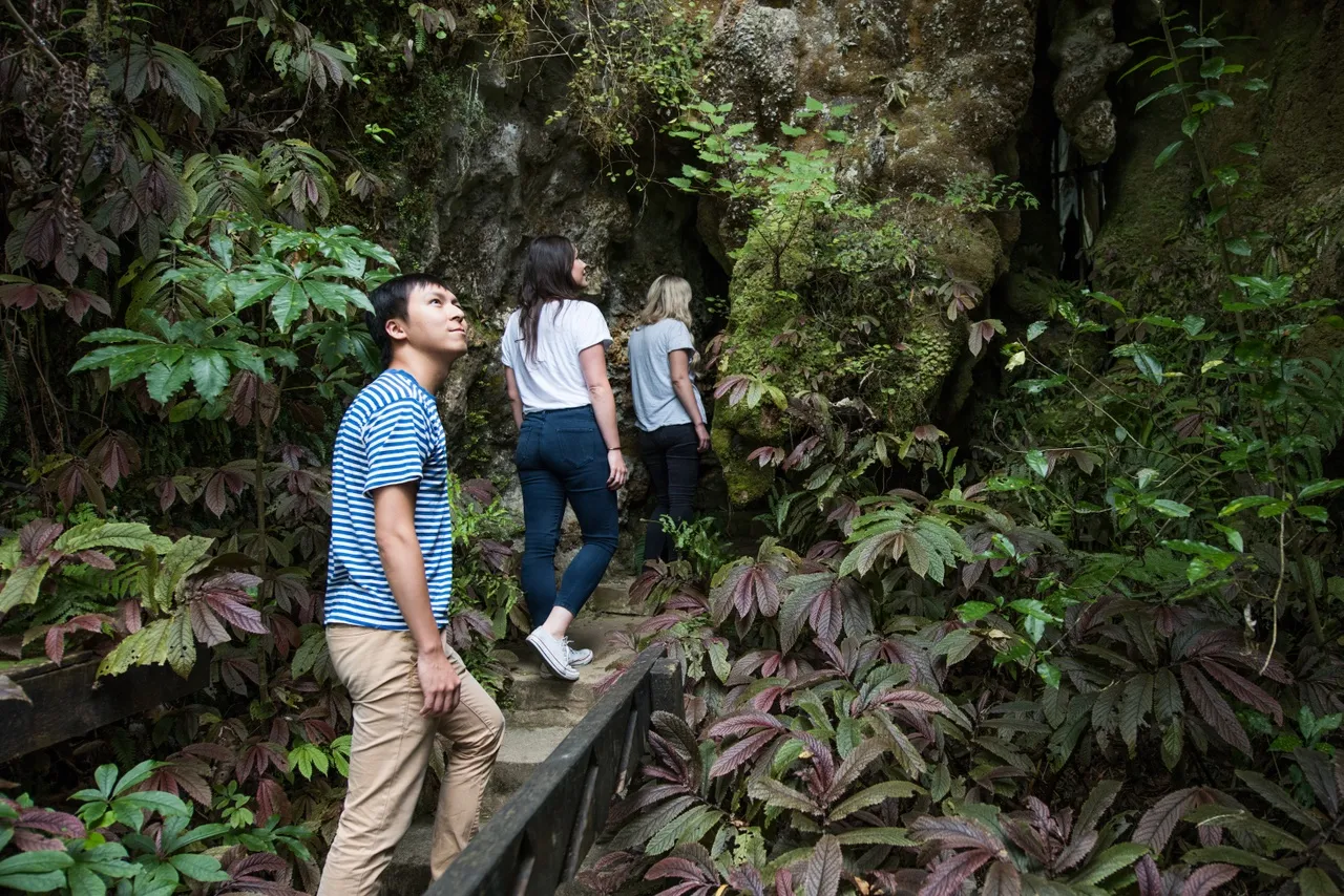 Waitomo Aranui Cave Guided Tour - 1 Hour | Everything New Zealand-3
