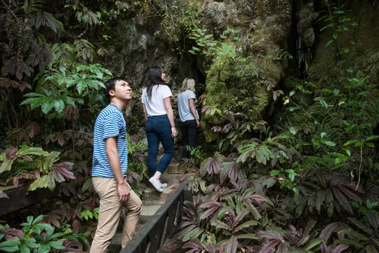 Waitomo Aranui Cave Guided Tour - 1 Hour