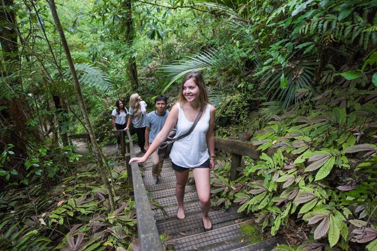 Waitomo Aranui Cave Guided Tour - 1 Hour | Everything New Zealand-6