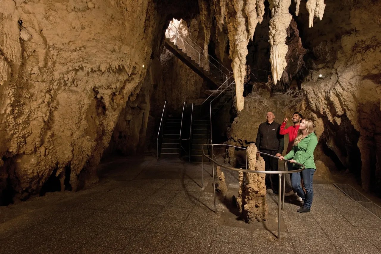 Waitomo Aranui Cave Guided Tour - 1 Hour | Everything New Zealand-5