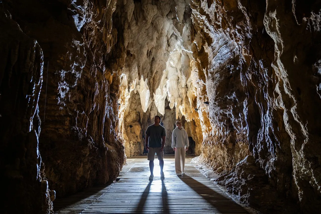 Waitomo Aranui Cave Guided Tour - 1 Hour | Everything New Zealand-1