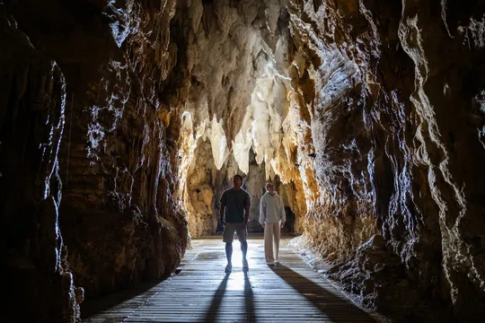Waitomo Aranui Cave Guided Tour - 1 Hour