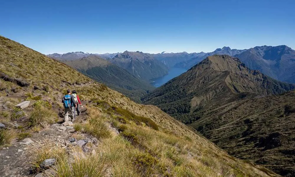 Te Anau Fiordland Heli Hike Tour | Everything New Zealand-1
