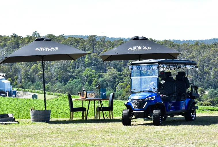 Wine & Wildlife Safari - 2 Hours - For 2 | Experience Oz