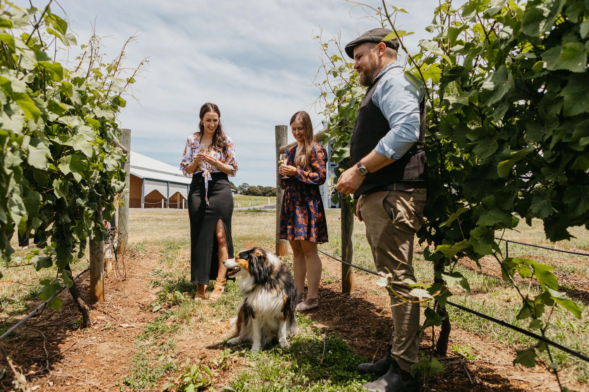 Wine & Wildlife Safari - 2 Hours - For 2 | Experience Oz-5