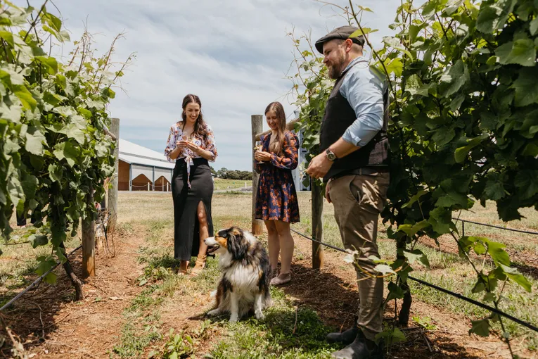 Wine & Wildlife Safari - 2 Hours - For 2 | Experience Oz