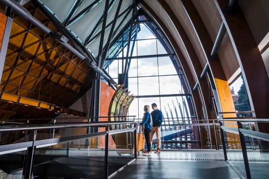 National Wine Centre Sommelier Hosted Wine Tasting - 1 Hour