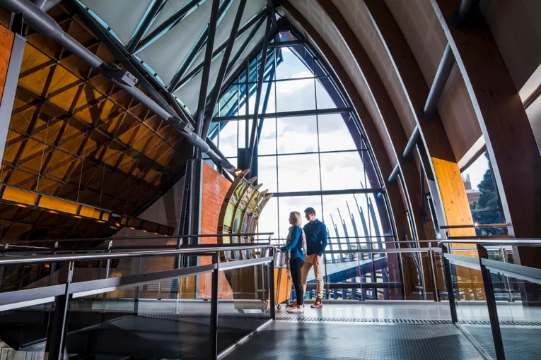 National Wine Centre Sommelier Wine Tasting | Experience Oz