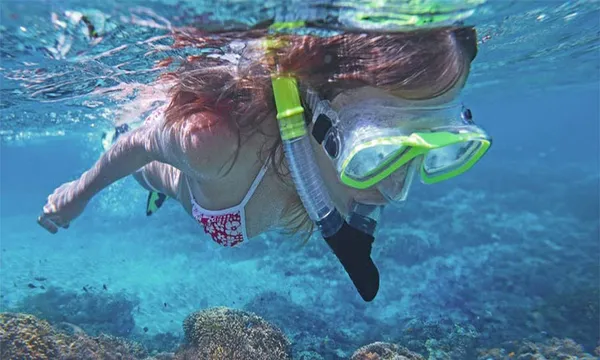 Port Douglas Low Island Snorkel Tour - Half Day