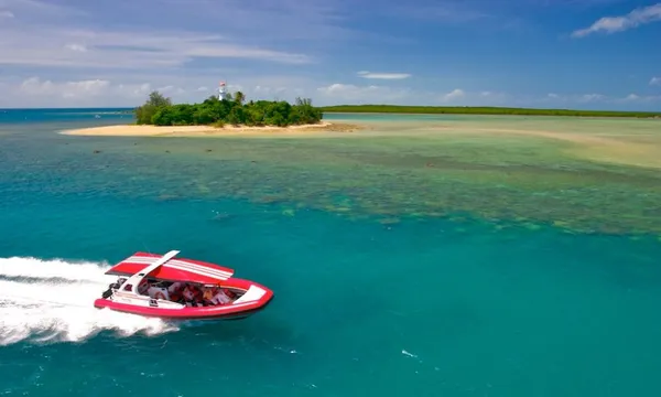 Port Douglas Low Island Snorkel Tour - Half Day