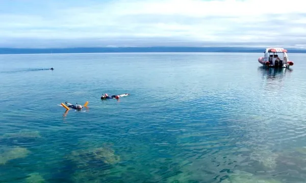 Port Douglas Low Island Snorkel Tour - Half Day