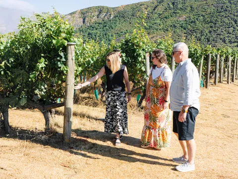 Gibbston Valley Wine & Cave Tour with Lunch - 4 Hours