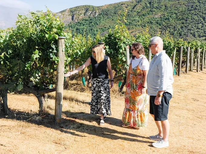 Gibbston Valley Wine & Cave Tour with Lunch | Experience Oz + NZ