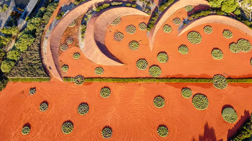 Cranbourne Botanic Gardens Open Air Bus Tour | Experience Oz