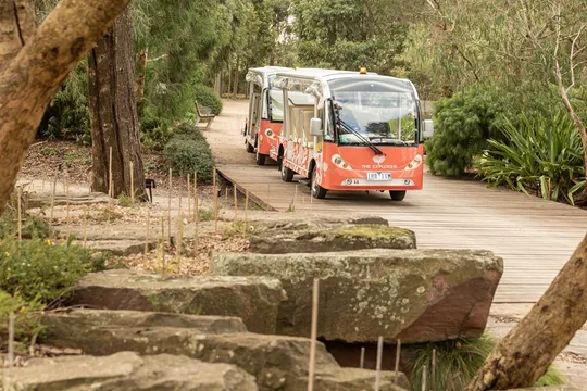 Cranbourne Botanic Gardens Open Air Bus Tour - 30 Minutes