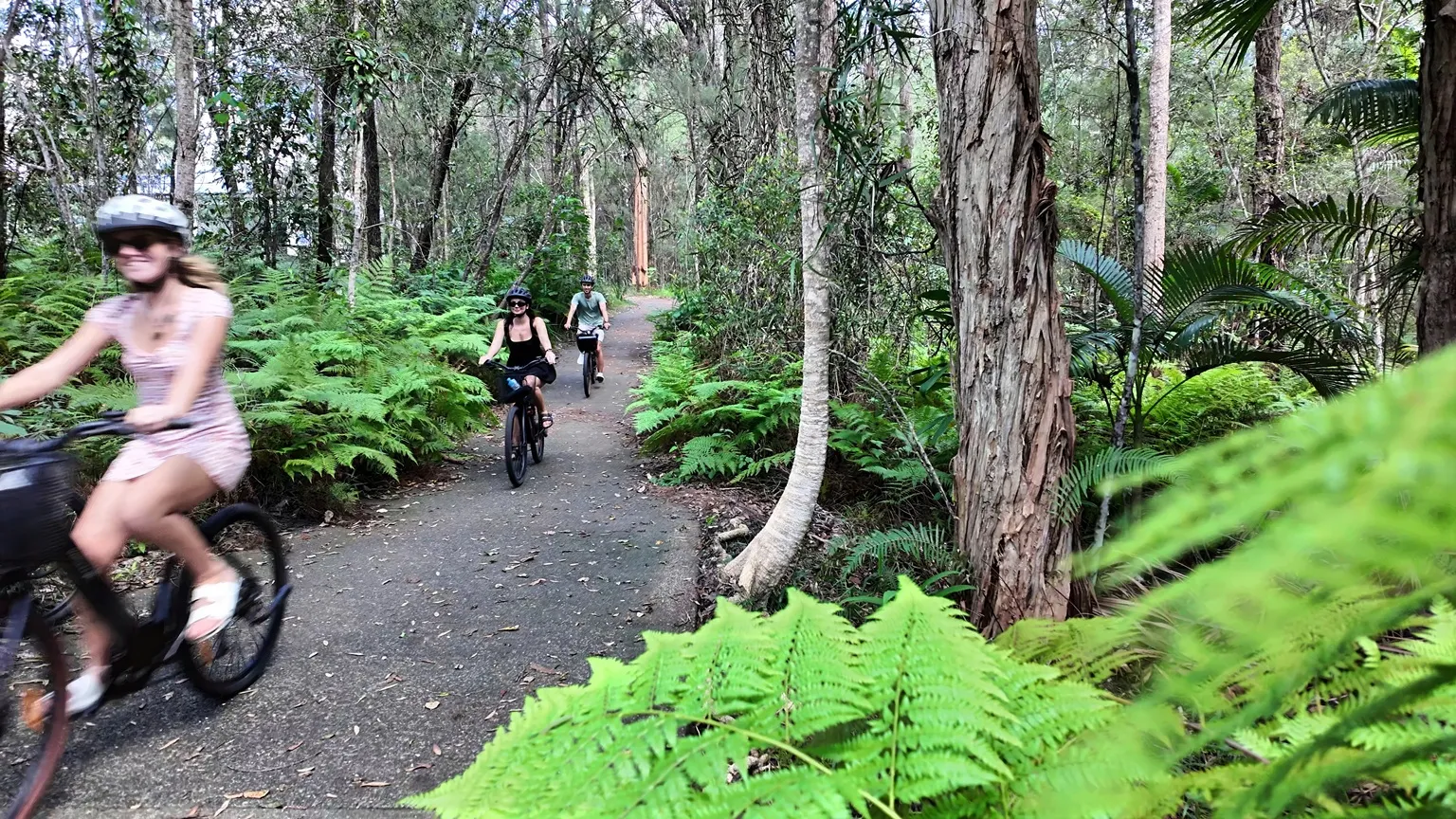 Noosa eBike Tour with Burger and Beer - 4 Hours | Experience Oz-4