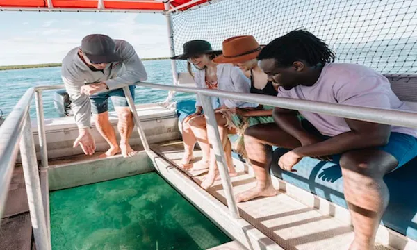 Port Douglas Low Isles Reef Snorkelling Tour