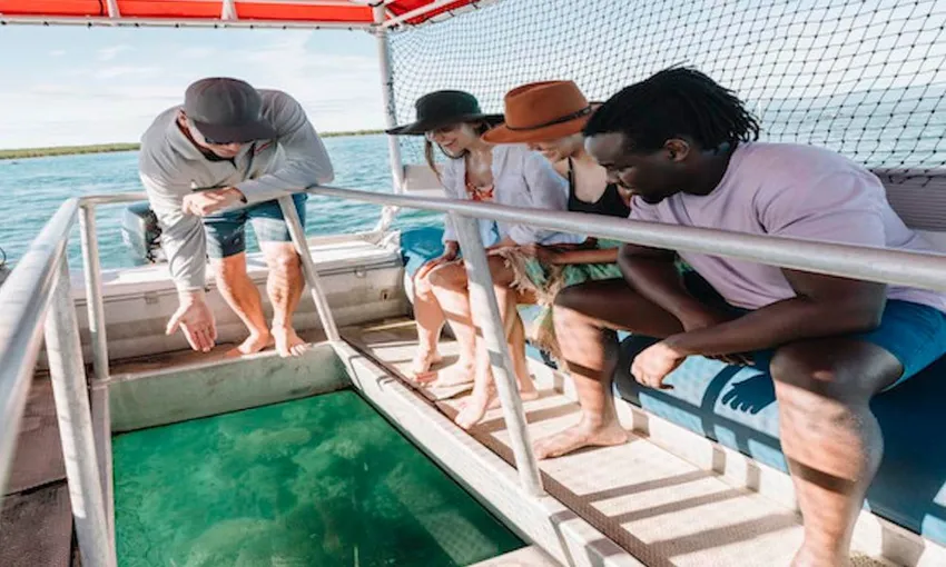 Port Douglas Low Isles Reef Snorkelling Tour | Experience Oz