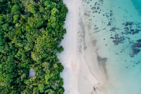 Kuku Yalanji Country Cultural Tour from Cairns - Full Day