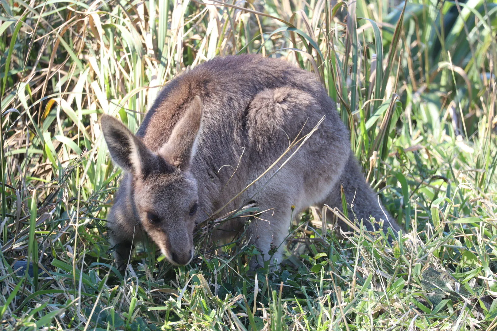 Stradbroke Island & Cultural Tour - Full Day | Experience Oz-9