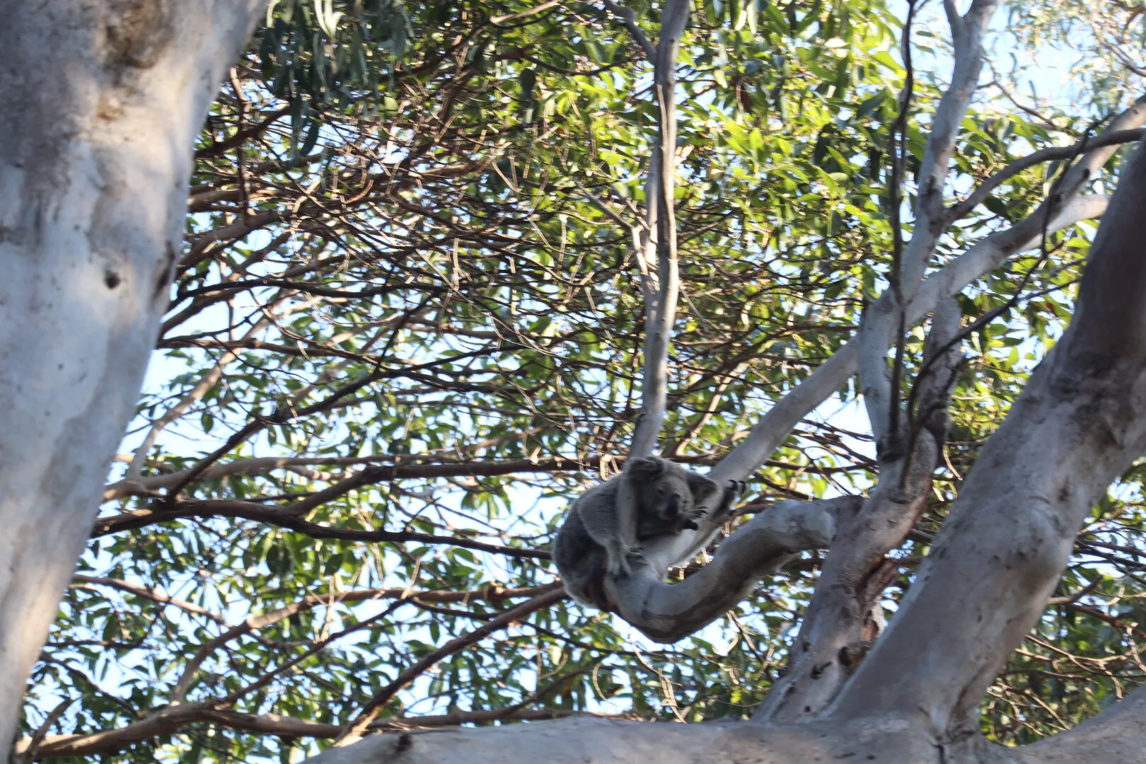 Stradbroke Island & Cultural Tour - Full Day | Experience Oz-10