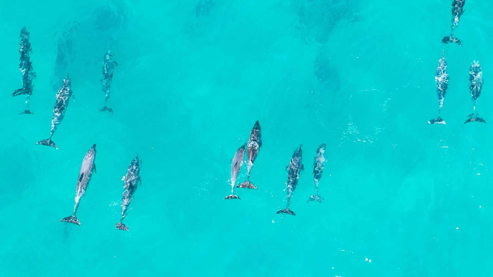 Stradbroke Island & Cultural Tour - Full Day | Experience Oz-12