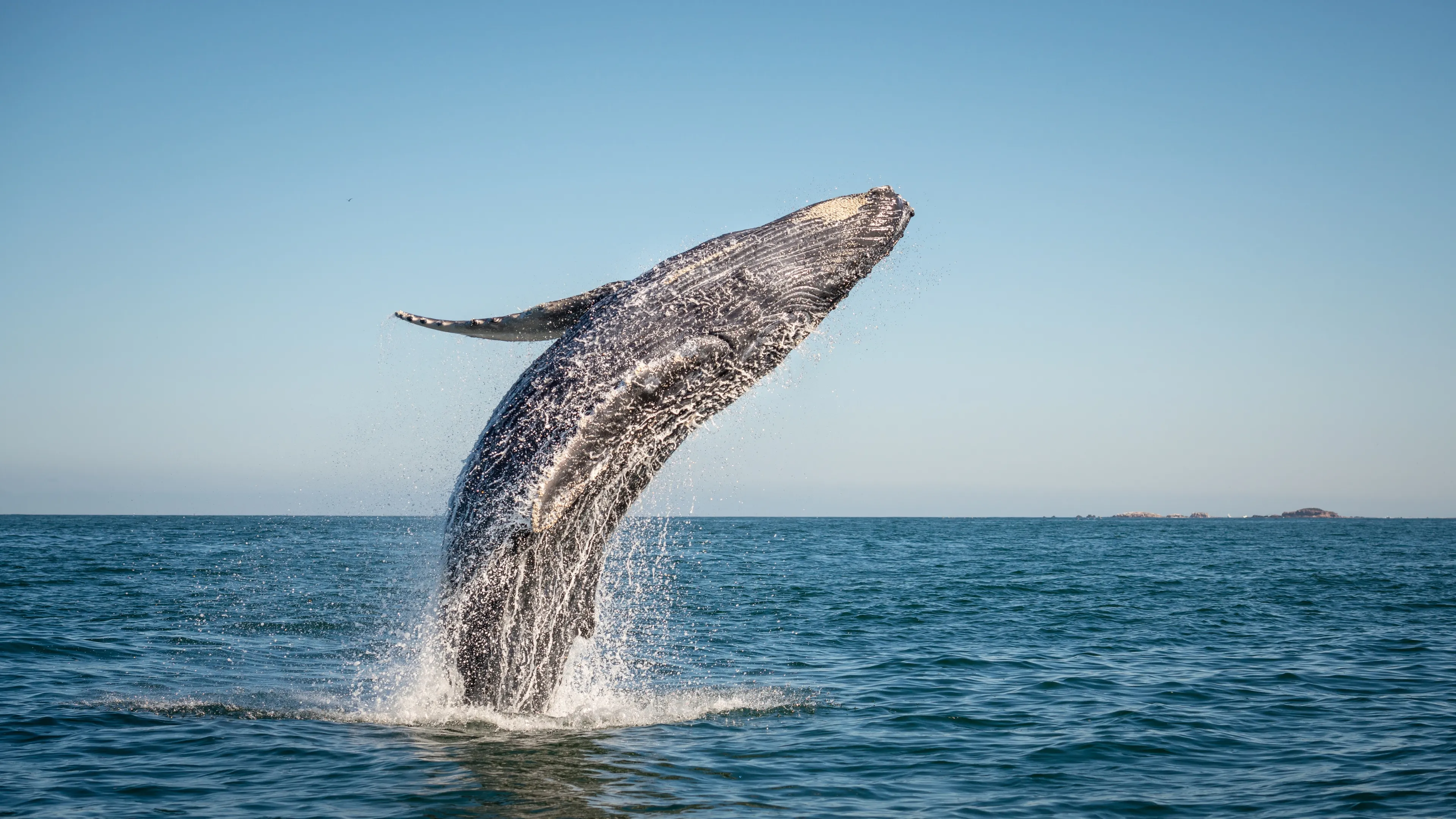 Stradbroke Island & Cultural Tour - Full Day | Experience Oz-13