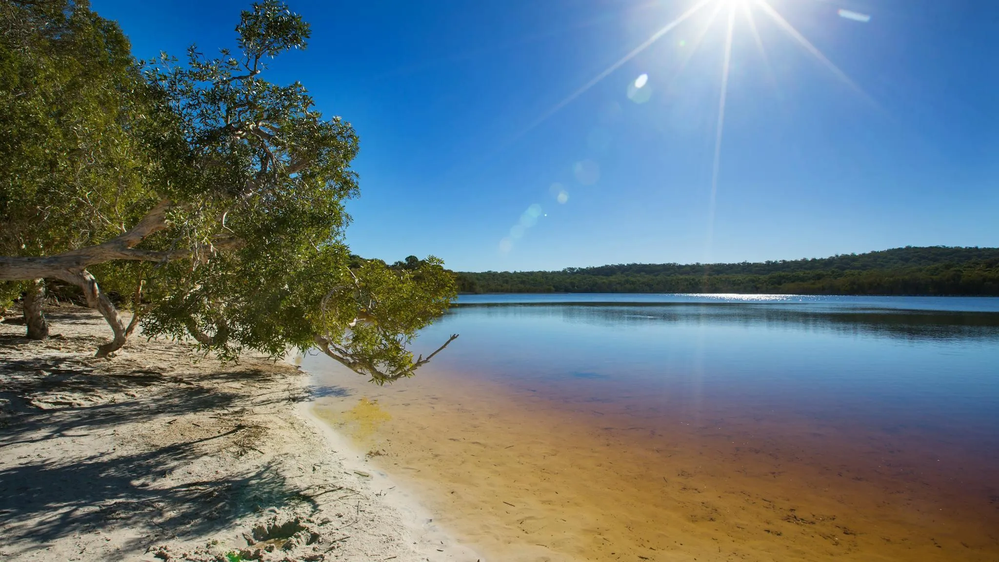 Stradbroke Island & Cultural Tour - Full Day | Experience Oz-15