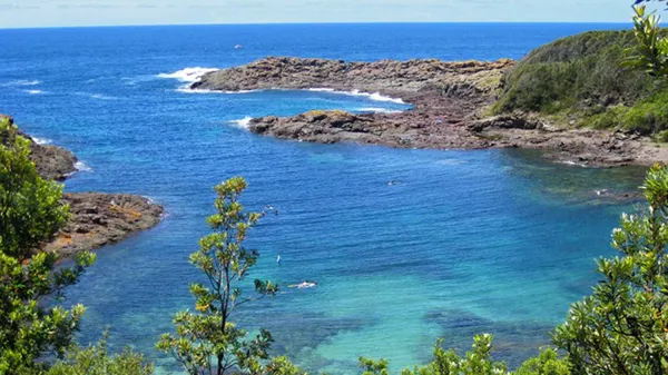 Bass Point Introductory Scuba Dive - 2 Hours