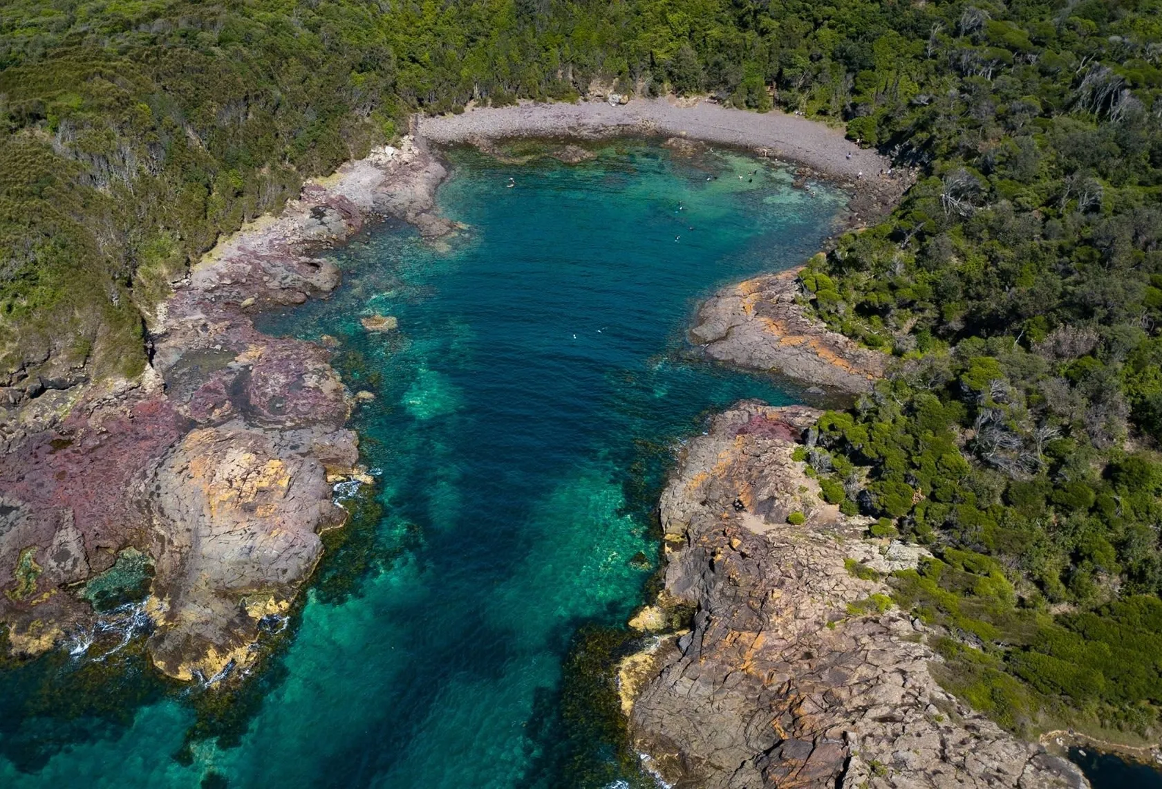 Bass Point Introductory Scuba Dive - 2 Hours | Experience Oz-5