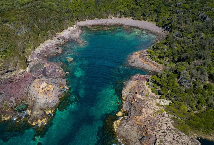 Bass Point Introductory Scuba Dive - 2 Hours | Experience Oz