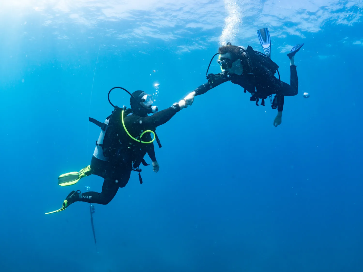 Bass Point Introductory Scuba Dive - 2 Hours | Experience Oz-6