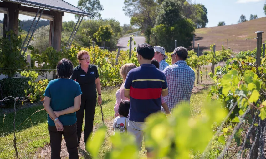 Sirromet Winery Tour & Tasting With Gourmet Cheese Platter - For 2 | Experience Oz