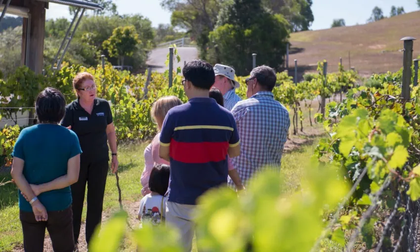 Winery Tour and Tasting with Italian Lunch - For 2 - Weekend | Experience Oz