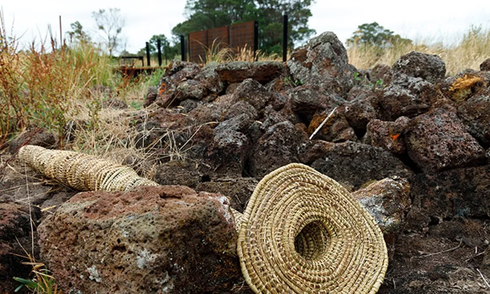 Tae Rak 2 Hour Cultural Walk - Book Now | Experience Oz-4