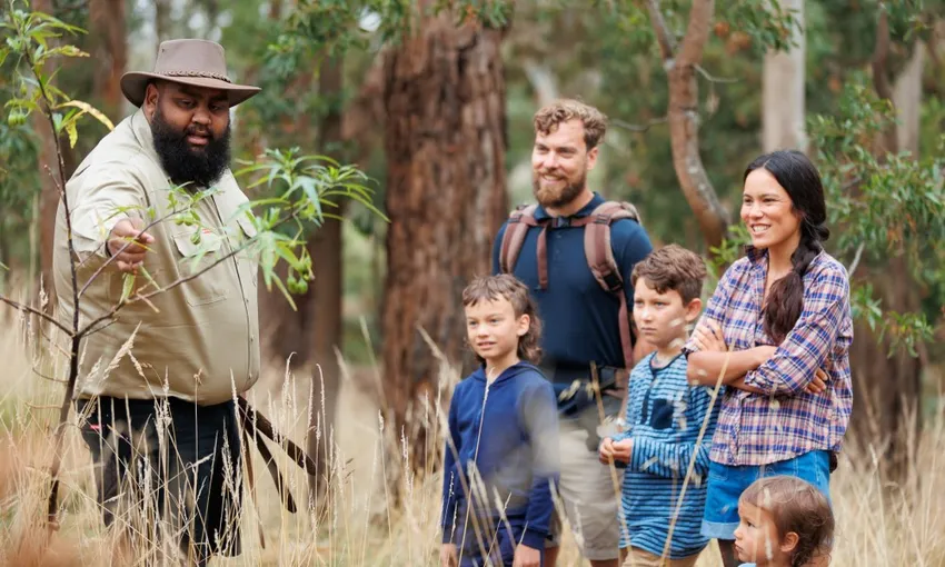 Tungatt Mirring Stone Country Half Day Tour - Book Now | Experience Oz