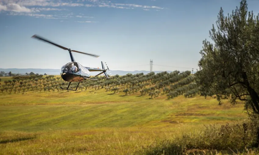 Hunter Valley Helicopter Flight & Lunch | Experience Oz