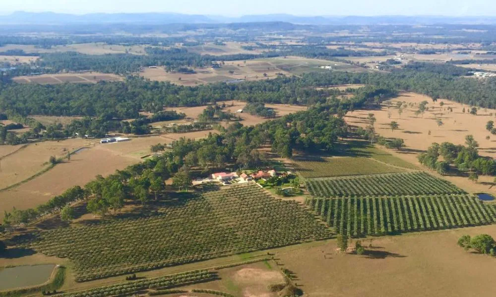 Hunter Valley Helicopter Flight - 12 Minutes | Experience Oz-4