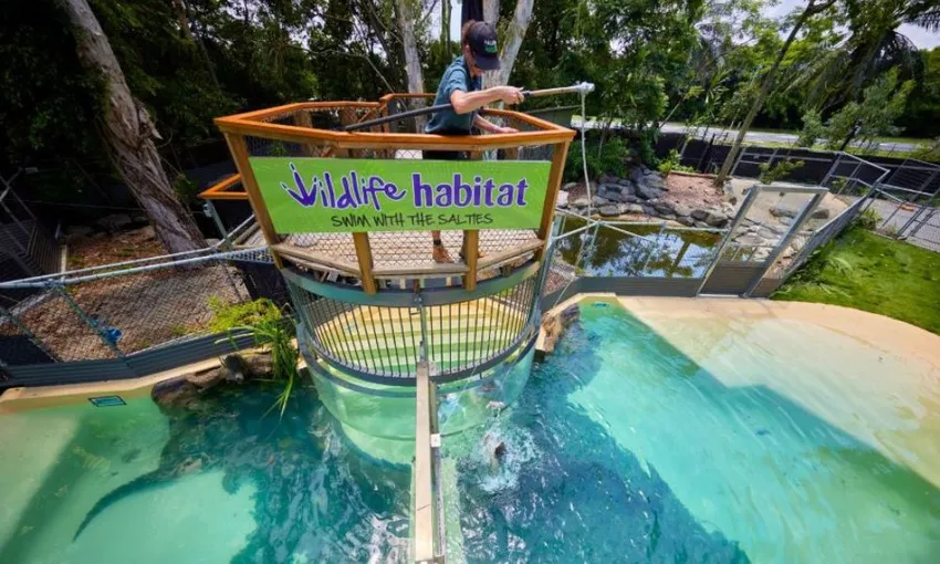 Swim with the Crocs Experience with Entry for 2 swimmers | Experience Oz