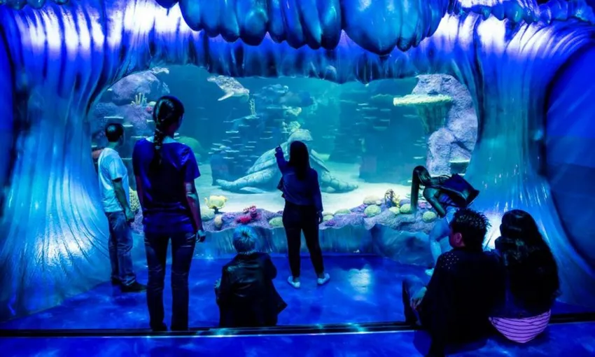 Sydney Four Attractions Combo Pass - Buy Now | Experience Oz