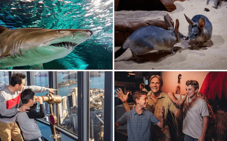 Sydney 4 Attraction Combo Pass including SEA LIFE Sydney Aquarium WILD LIFE Sydney Zoo Sydney Tower Eye and Madame Tussauds Sydney
