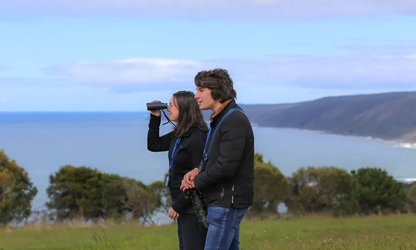 Great Ocean Road Guided Wildlife Walk - 75 Minutes | Experience Oz