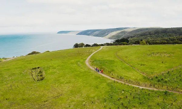 Great Ocean Road Guided Wildlife Walk - 75 Minutes